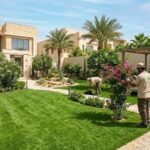 شركة تنسيق حدائق بالرياض مع ثيل طبيعي وصناعي بجودة فاخرة